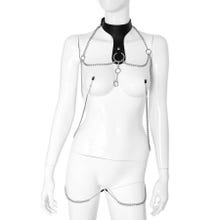 HardcoreDeLuxe Deluxe Leather Collar with Clamps silver