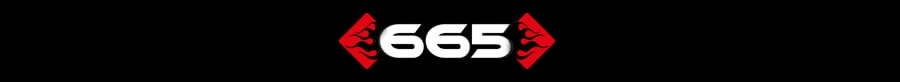 665 Leather bei Dildoking